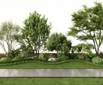Modern Plant Landscaping-ID:984035027