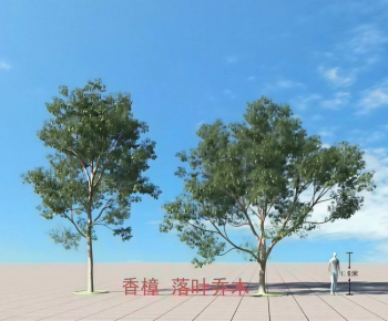 Modern Tree-ID:315145977