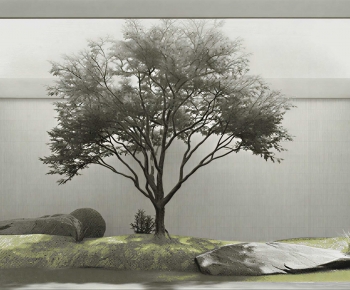 Modern Plant Landscaping-ID:609508995