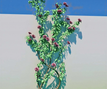 Modern Vine-ID:763001922
