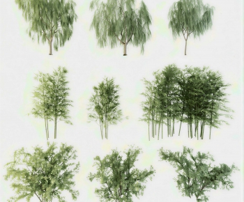 Modern Bamboo-ID:585016017