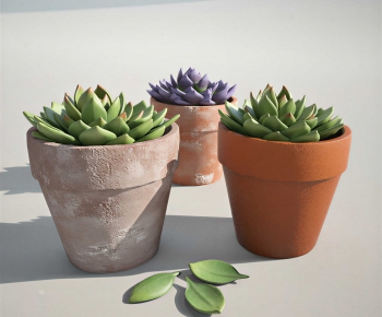 Modern Desktop Plant-ID:246338885