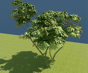 Modern Tree-ID:451638946