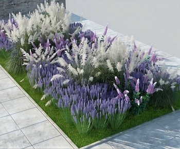 Modern Plant Pile-ID:698240045
