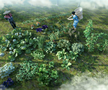 Modern Crop-ID:663916119