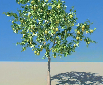 Modern Tree-ID:681123024