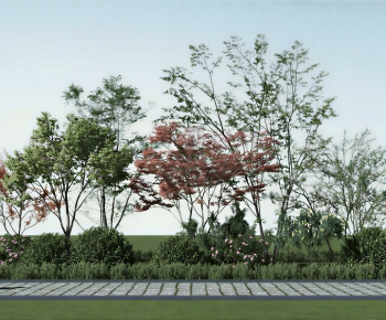 Modern Garden-ID:537517072