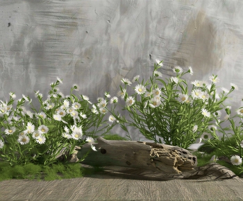 Modern Plant Landscaping-ID:345668081