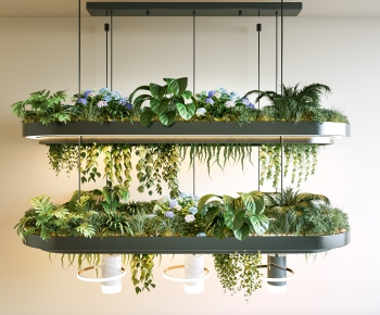 Modern Flower Bed, Flower Bowl, Flower Box-ID:968894001