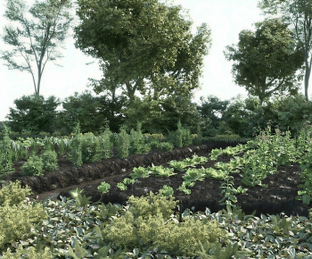 Modern Crop-ID:128873116