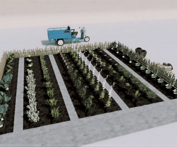 Modern Crop-ID:895083906
