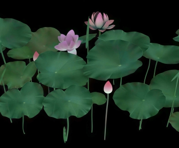 Modern Flowers And Grass-ID:145683057