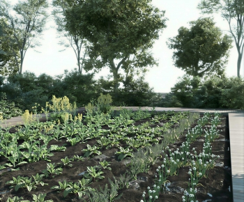 Modern Crop-ID:238776927