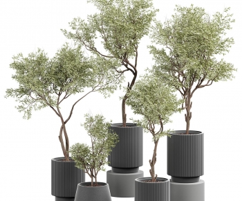 Modern Ground Green Plant Potted Plants-ID:275141957