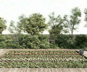 Modern Crop-ID:641122106