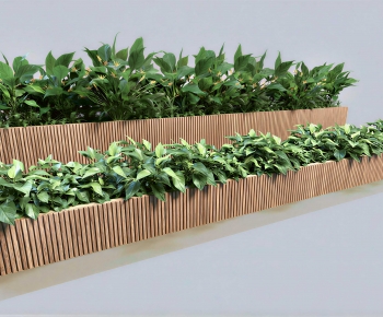 Modern Flower Bed, Flower Bowl, Flower Box-ID:543615102
