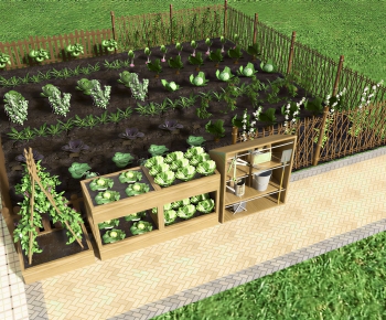 Modern Crop-ID:891802073