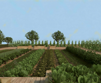 Modern Crop-ID:563785089