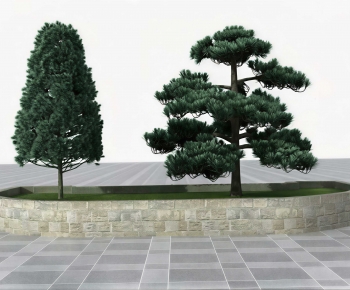 Modern Tree-ID:447565084