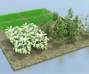 Modern Crop-ID:104839845