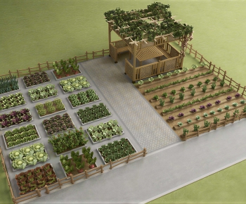 Modern Crop-ID:759171012