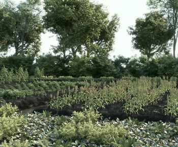 Modern Crop-ID:445167063
