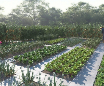 Modern Crop-ID:634866956