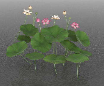 New Chinese Style Flowers And Grass-ID:448908094
