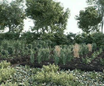 Modern Crop-ID:377271286