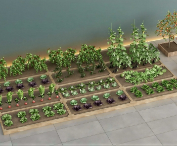Modern Crop-ID:297239077