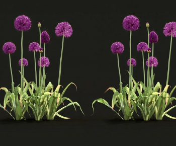 Modern Flowers And Grass-ID:380459078
