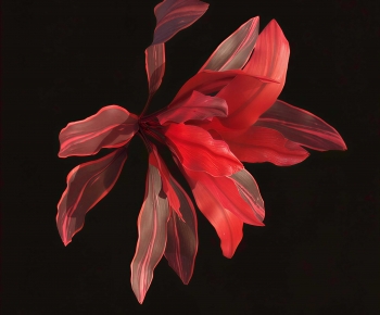 Modern Flowers And Grass-ID:648519044