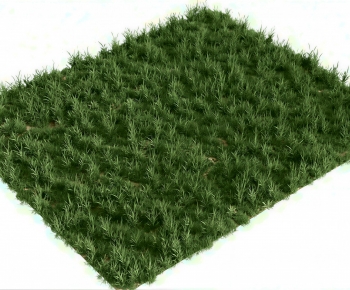 Modern The Grass-ID:705127002