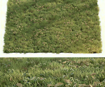 Modern The Grass-ID:885271079