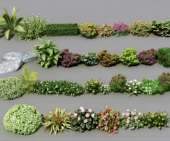 Modern Shrubbery-ID:480722902