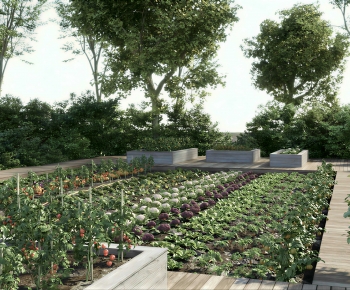 Modern Crop-ID:250185011
