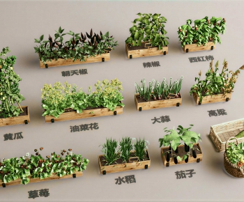 Modern Crop-ID:852909098