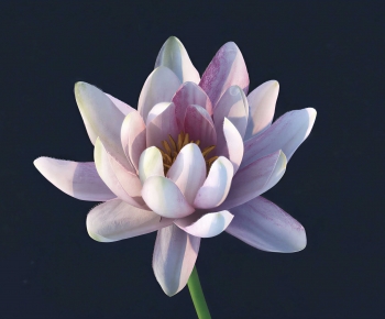Modern Flowers And Grass-ID:834599027