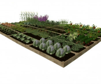 Modern Crop-ID:935216907