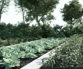 Modern Crop-ID:809297087