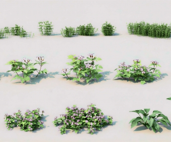Modern Flowers And Grass-ID:804857973