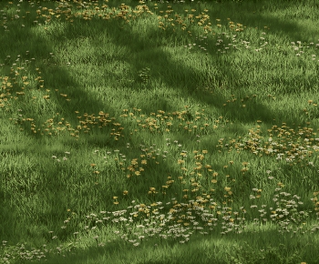 Modern The Grass-ID:786209114