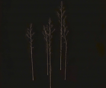 Modern Tree-ID:431940697