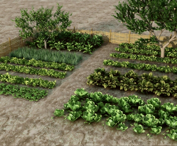 Modern Crop-ID:228966005