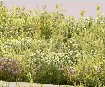Modern Flowers And Grass-ID:528671984