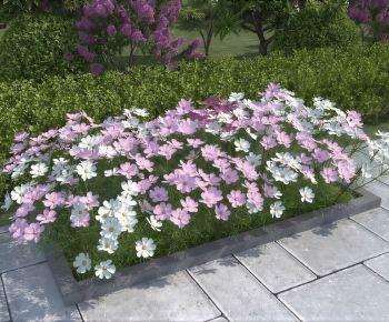 Modern Flower Bed, Flower Bowl, Flower Box-ID:609397894