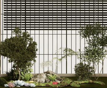 Modern Plant Landscaping-ID:535206085