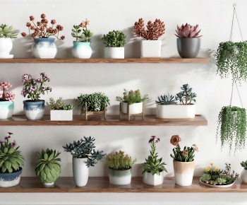 Modern Desktop Plant-ID:750796085