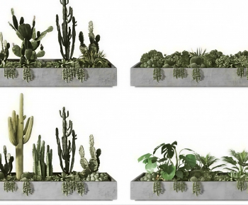 Modern Flower Bed, Flower Bowl, Flower Box-ID:705821047