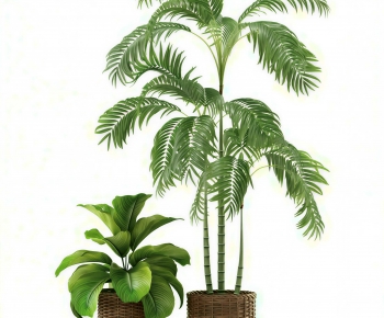 Modern Ground Green Plant Potted Plants-ID:540091999